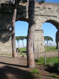 Catacombs and Roman Countryside Rome Walking Tour