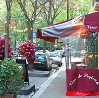 Private Left Bank Walking Tour and Wine Tasting