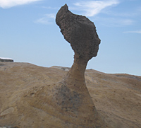 Half Day Northern Coast Tour Including Yehliu Park