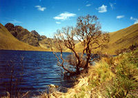 Excursion to National Park of Cajas with Lunch