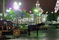 Quito by Night with Dinner