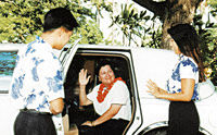 Maui - Maui Airport Roundtrip Transfer tours