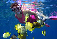 Na Pali Kauai Snorkel Expedition