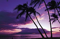 Round-trip Maui Airport Transfer