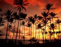Roundtrip Kauai Airport Transfer