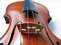 Private Music Tour of Florence including Accademia Gallery
