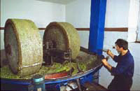 Private Windmill Tour - Ceramics, Wine Tasting And Organic Tuscan Lunch