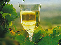 2 Day Margaret River Wine Experience departs Perth