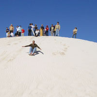 4WD Pinnacles, Koalas and Sandboarding Day Tour from Perth