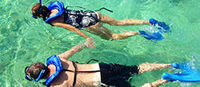9 day Albany, Tree Top Walk, Margaret River, Pinnacles and Monkey Mia