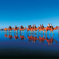 Half Day Broome Town Tour With Cable Beach Sunset Camel Ride