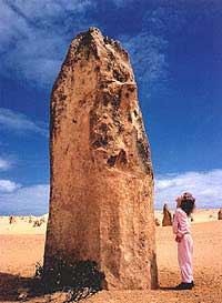 Pinnacles, New Norcia and Wildflowers