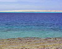 Mahmaya - Giftun Island Snorkeling Cruise