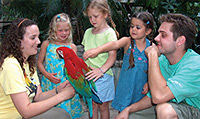 Bird Kingdom - All Day Admission Ticket