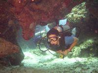 PADI Certified Scuba Diving in Cozumel