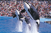Sea World&reg; San Diego