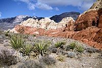 Red Rock Canyon Tour