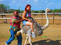 Ostrich Farm and HATO Caves Combo Adventure
