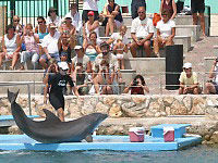 Sea Aquarium Adventure Trip