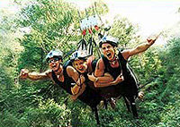 Cairns Minjin Jungle Swing