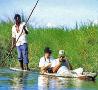 Five Day Okavango Delta Fly-In Safari