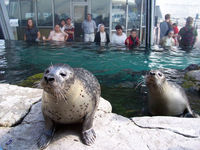 New England Aquarium