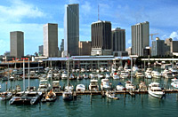 One Day Miami