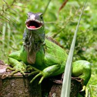 Inbioparque - Environmental Theme Park