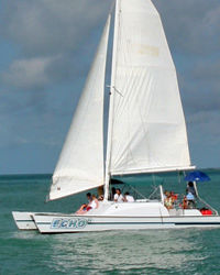 Shipwreck Snorkel and Wild Dolphin Encounter