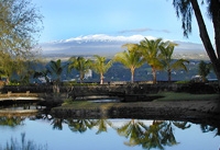 Big Island's Aloha Special
