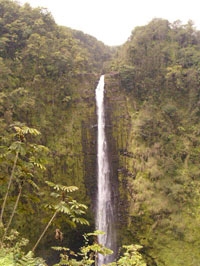 Big Island's Aloha Special