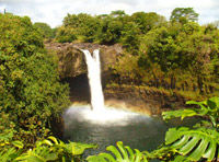 The Hawaii Waterfalls and Hamakua Coast Tour