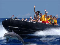 Zodiac Raft and Snorkel Adventure