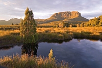 8 day Overland Track Walking Trip departs Launceston
