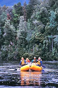 Franklin River Rafting - 9 Days