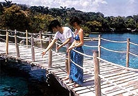 Xel-Ha: All Inclusive Day Tour