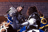 Medieval Times Dinner and Tournament in Orlando