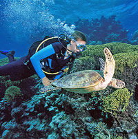 Outer Great Barrier Reef Day Trip for Certified Divers aboard SeaQuest ADV