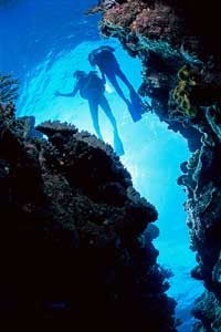 Outer Great Barrier Reef Day Trip for Certified Divers aboard SeaQuest ADV