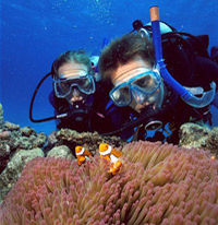 Outer Great Barrier Reef Day Trip for Introductory Divers aboard SeaQuest ADV