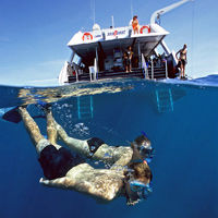 Outer Great Barrier Reef Snorkeling Day Trip aboard SeaQuest ADV