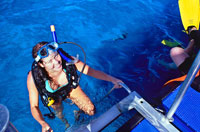 SeaQuest ADV - Snorkeling Great Barrier Reef Day Trip (Palm Cove)