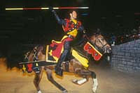 Medieval Times Dinner and Tournament