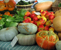 Paris Gourmet Food Walking Tour