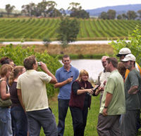 Yarra Valley Wine Experience in Melbourne