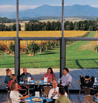 Yarra Valley Wine Experience in Melbourne