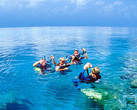 Great Barrier Reef Day Cruise aboard MV Supercat from Cairns