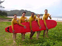 Kauai Group Surf Lessons