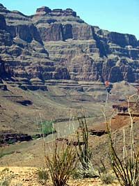 Grand Canyon West Rim Adventure and Skywalk