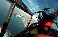 Top Dog Air Combat